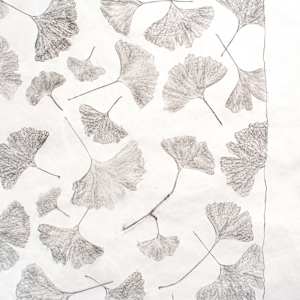 Ginko by Katherine Steichen Rosing, Image 1.