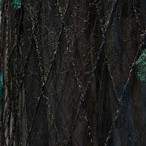 Grandmother Ash with Lichen (spirit tree) by Katherine Steichen Rosing 