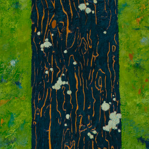 White Lichen by Katherine Steichen Rosing 