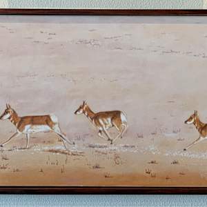 Migration by Mark Paxton