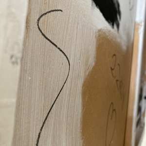 DIE WEISE ELEFANTIN by Petronilla Hohenwarter 