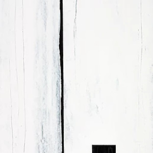 IN TOUCH - MUSIC in PROGRESS - VOLUME VI by Petronilla Hohenwarter