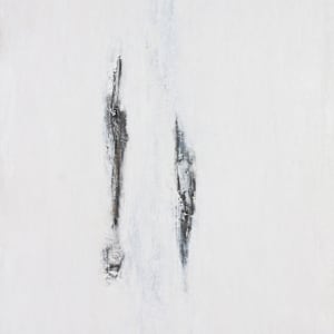 IN TOUCH COSMIC RELATION 1-4 by Petronilla Hohenwarter 