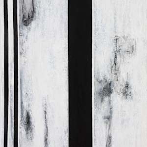 IN TOUCH COSMIC RELATION 1-4 by Petronilla Hohenwarter 