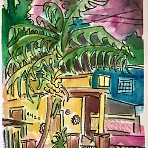 Mexican Nocturne by seanpdwyer, Image 10.
