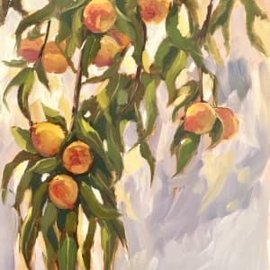 Peaches at Hassans' Garden by Gonzalo Ruiz Navarro
