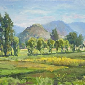 Swat Valley Fields by Gonzalo Ruiz Navarro