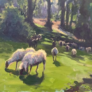Sheep in Hapakun by Gonzalo Ruiz Navarro