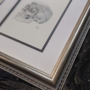 "Of what Materials?" - Original Drawing of Human Skull - Framed Mantle Art 