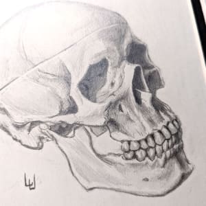 "Thus Fortified"-Original Drawing of Human Skull - Framed Mantle Art 