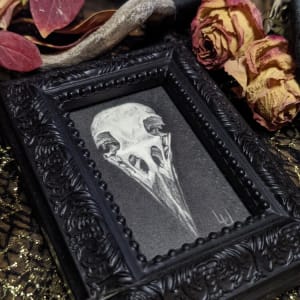 "Dark Universe" - Original Drawing of Crow Skull - Framed Small Mantle Art 