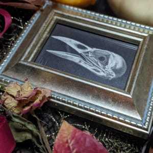 "His Eyes Have All the Seeming" - Original Drawing of Crow Skull - Framed Small Mantle Art 