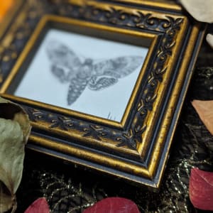 "Wonderful & Terrible to See" - Original Drawing of Death's Head Moth - Framed Small Mantle Art  Image: Original Drawing of Death's Head Moth - Framed Small Mantle Art