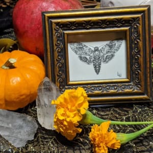 "Wonderful & Terrible to See" - Original Drawing of Death's Head Moth - Framed Small Mantle Art  Image: Original Drawing of Death's Head Moth - Framed Small Mantle Art