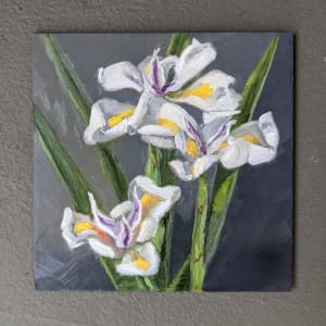 Iris Blooms  Image: Iris Blooms