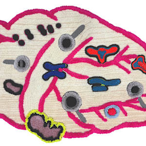 Life Look/My Delicate Parts (Tread Gently) by Jennifer Linton