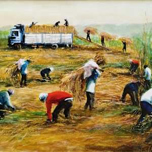 Loading Sugar Cane by Jun Rocha, Image 1.