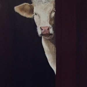 Cattle - Charlotte by Ann A Blake