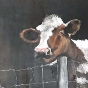Cattle - Mrs. Harrison by Ann A Blake