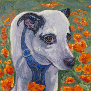Panda in the Poppies by Jamie Temple, Image 1.