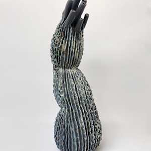 Aortic Bloom by Peloloca, Image 3.