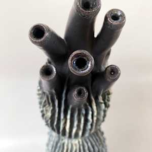 Aortic Bloom by Peloloca, Image 9.
