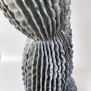 Aortic Bloom by Peloloca, Image 11.