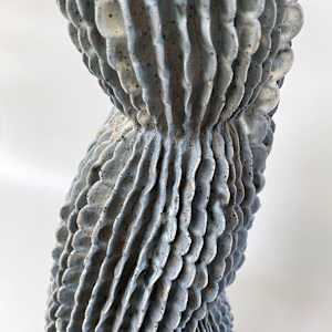 Aortic Bloom by Peloloca, Image 7.