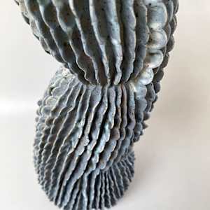 Aortic Bloom by Peloloca, Image 6.