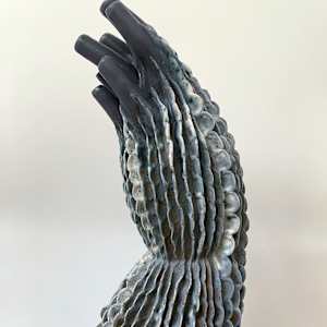Aortic Bloom by Peloloca, Image 5.