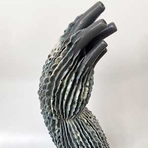 Aortic Bloom by Peloloca, Image 16.