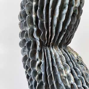 Aortic Bloom by Peloloca, Image 17.