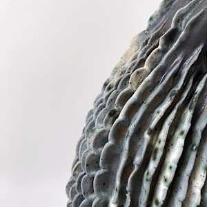 Aortic Bloom by Peloloca, Image 20.