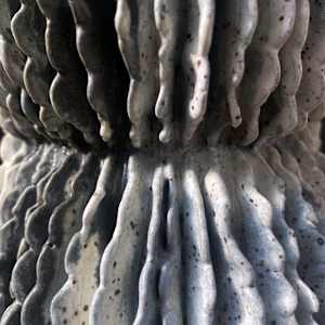 Stomata Capacitor by Peloloca, Image 17.