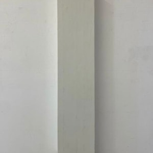 Gray Column by Steve Riedell