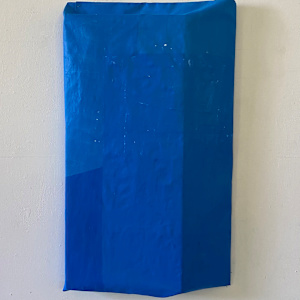 Blue Verticals by Steve Riedell