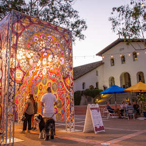 Through The Flowers by Laurie Shapiro