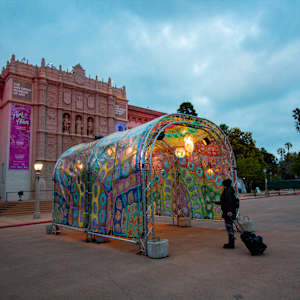 We Are All Connected To Each Other Through Nature by Laurie Shapiro