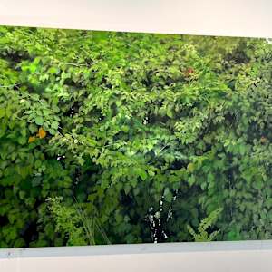 The Garden Wall by Peter Roux