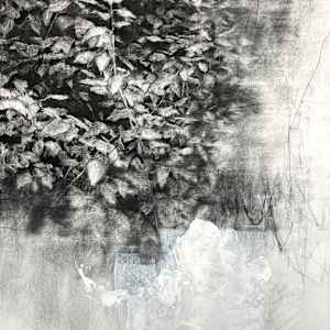 entangled no.4 by Peter Roux