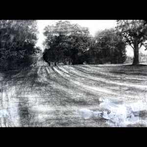 like films by Peter Roux