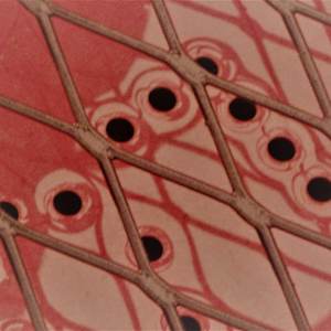 DIamonds and Circles by GERRY FELDMAN, Image 1.