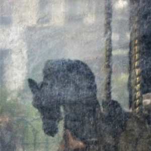 For A Horse by GERRY FELDMAN, Image 1.