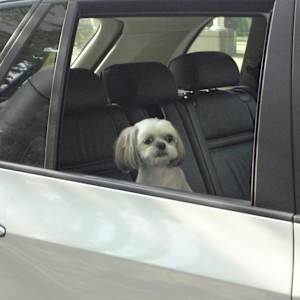 So Let Me Tell You by GERRY FELDMAN, Image 1.