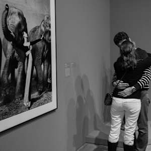Appreciation by Neil Berkowitz, Image 1.