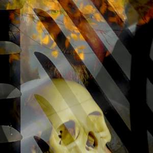 Burning Bright by Neil Berkowitz, Image 1.