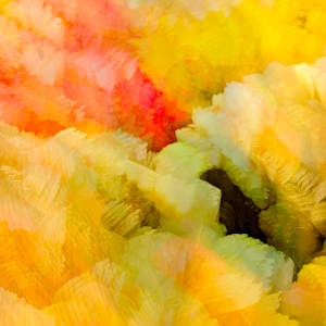 Choral Music by Neil Berkowitz, Image 1.