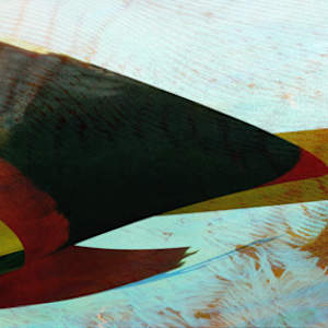 Forward! by Neil Berkowitz, Image 1.