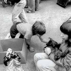 No Dogs Allowed by Neil Berkowitz, Image 1.