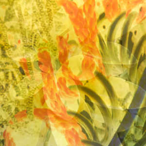 Nothing but Nets by Neil Berkowitz, Image 1.